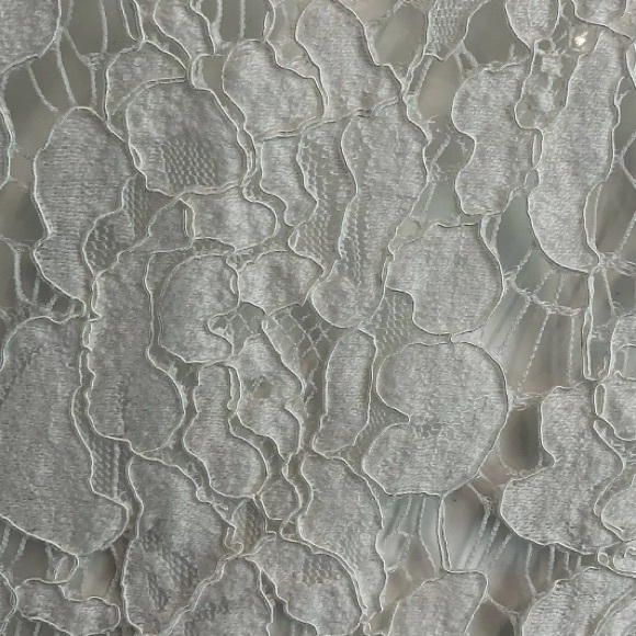 HB She Lace Scallop Fringe Sheer A-Line Dress - Picture 3 of 7